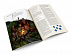 Настольная игра Hobby World Dungeons & Dragons. Стартовый набор 73600-R Настольная игра Hobby World Dungeons & Dragons. Стартовый набор 73600-R
