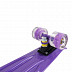 Penny board (пенни борд) RGX 207 PNB-07 22" LED