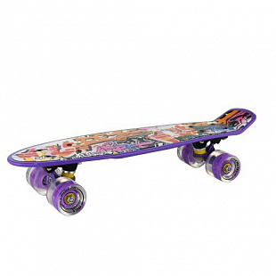 Penny board (пенни борд) RGX 202 PNB-07 22" LED