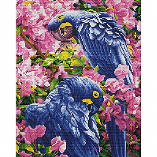 Алмазная живопись Picasso Синие Ара PD4050046