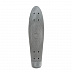 Penny board (пенни борд) RGX PNB-14 22" Silver Metallic (Grey)