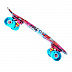 Penny board (пенни борд) Explore Apache 22" Skulls/Fishes