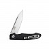 Складной нож Ganzo Firebird FH21-BK black