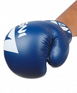 Перчатки боксерские Insane MARS IN22-BG100 8 oz	 blue