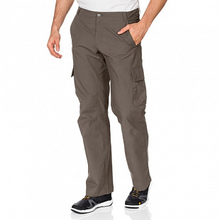 Брюки Jack Wolfskin Northpants Men brown