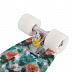 Penny board (пенни борд) RGX PNB-04 22" Multicolor