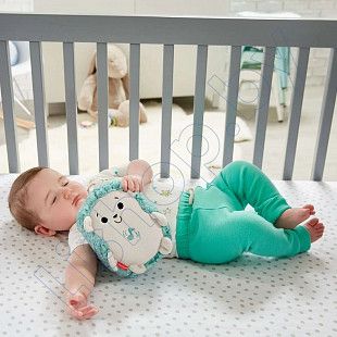 Игрушка Fisher Price Ежик (FXC58)