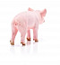 Фигурка животного Schleich Поросенок стоит 13783
