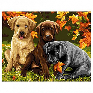 Картина по номерам Picasso Лабрадоры PC4050067