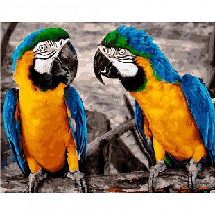 Картина по номерам Picasso Желто-синие Ара PC4050362