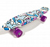 Penny board (пенни борд) Amigo Prime Mint