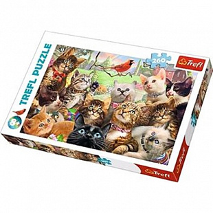 Пазл Trefl Котята 13241