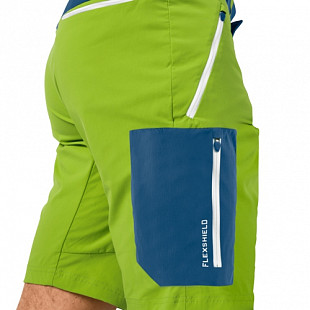 Брюки мужские Jack Wolfskin Overland Shorts M spring lime