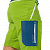 Брюки мужские Jack Wolfskin Overland Shorts M spring lime
