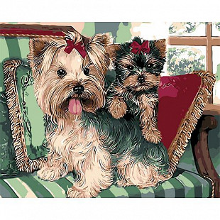 Картина по номерам Picasso Йорки PC5065067