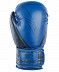 Перчатки боксерские Insane ODIN IN22-BG200 12 oz blue