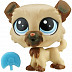 Кукла Littlest Pet Shop Щенок Elvy Wheaten (B5233 A8229) Кукла Littlest Pet Shop Щенок Elvy Wheaten (B5233 A8229)