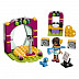 Конструктор LEGO Музыкальный дуэт Андреа 41309