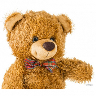 Мягкая игрушка Fancy Медведь Рома MRP01