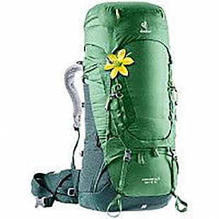 Рюкзак Deuter Aircontact 60+10 SL 3320419-2238 leaf/forest (2020-21)
