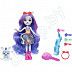 Игровой набор Enchantimals Гламурные прически Зебры Земеры (HNV28)