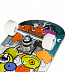 Скейтборд Maxcity Crank