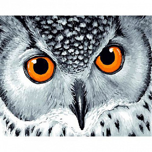 Картина по номерам Picasso Глубина совиных глаз PC4050377