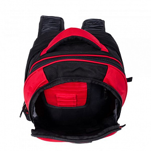 Рюкзак для ноутбука Polar П1286 blue