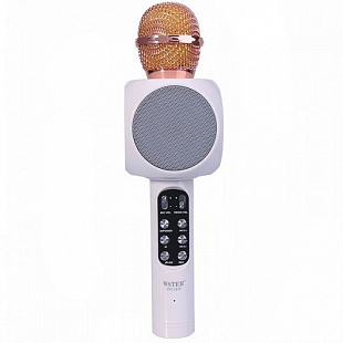 Колонка с функцией Караоке Микрофона Wster WS-1816 white