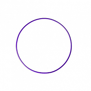 Обруч гимнастический Absolute Champion 75 см purple