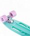 Penny board (пенни борд) Ridex Bubble 22"x6"