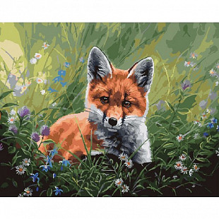 Картина по номерам Picasso Лисенок в траве PC4050496