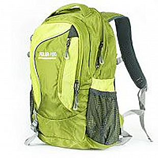 Городской рюкзак Polar П1521 lime