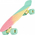 Penny board (пенни борд) Ridex Malibu 22'' Penny board (пенни борд) Ridex Malibu 22''