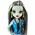 Куклa Monster High Первый день в школе DNW97 DNW99