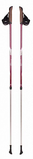 Палки для скандинавской ходьбы Tramp Fitness TRR-011