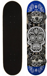 Скейтборд Atemi ASB-5.16 Skull