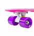 Penny board (пенни борд) Maxcity Plastic Board small pink