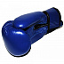 Перчатки боксёрские Zez Sport OZ-NK Blue