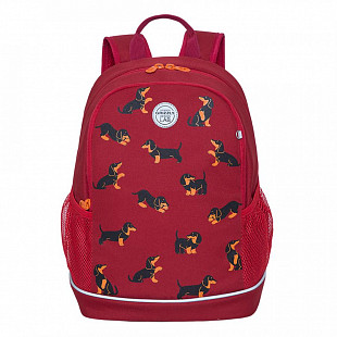 Рюкзак школьный GRIZZLY RG-163-5 /1 red