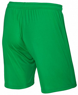 Шорты футбольные детские Jogel JFS-1110-031 green/white