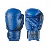 Перчатки боксерские Insane ODIN IN22-BG200 8 oz blue