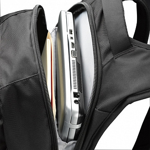 Рюкзак для ноутбука Case Logic DLBP116K black (3201268)