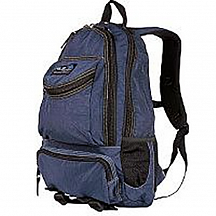 Городской рюкзак Polar П1227 blue