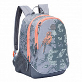 Рюкзак GRIZZLY RD-953-5 grey