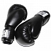 Перчатки боксёрские Zez Sport OZ-X Black
