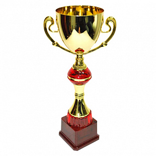 Кубок сувенирный Zez Sport FB2066C