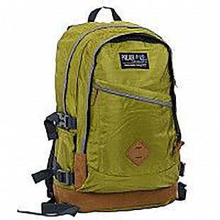 Рюкзак Polar П2104 green