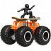 Машинка Hot Wheels Монстр Трак Board Wild (FYJ44 HKM32)