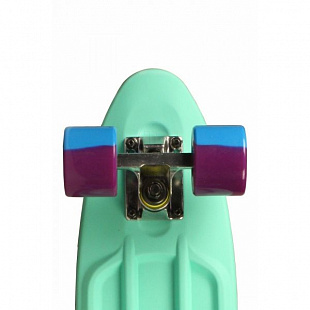 Penny board (пенни борд) Triumf Active Lux Glamour 22" TLS-401MR pink/green